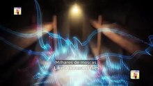 Voltar para Anos 90 From Miner to Billionaire | Filme Completo em Português