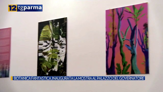 BOTANICA FANTASTICA, INAUGURATA LA MOSTRA AL PALAZZO DEL GOVERNATORE | BOTANICA FANTASTICA, INAUGURATA LA MOSTRA AL PALAZZO DEL GOVERNATORE