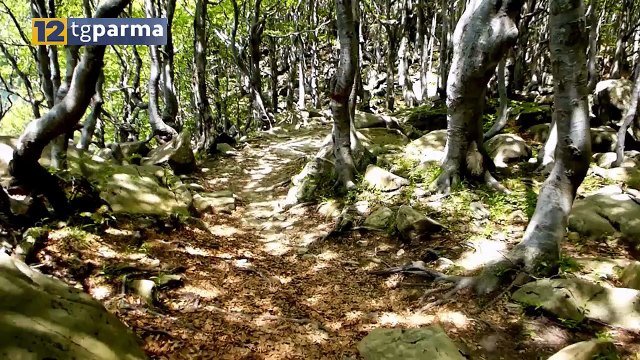 QUALITÀ DELL'ARIA, I BENEFICI DEI SERVIZI ECOSISTEMICI, CONVEGNO IN PROVINCIA | QUALITÀ DELL'ARIA, I BENEFICI DEI SERVIZI ECOSISTEMICI, CONVEGNO IN PROVINCIA