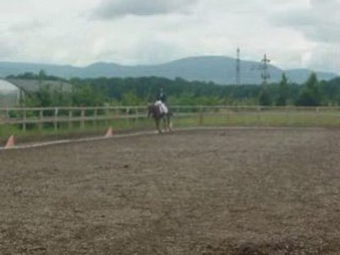 Emilie Olympe Dressage FF 2