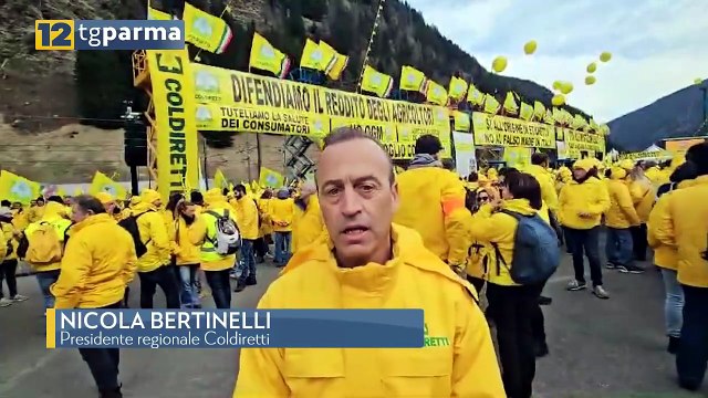 BRENNERO, IN TANTI ANCHE DA PARMA AL SIT-IN IN DIFESA DEL MADE IN ITALY AGROALIMENTARE | BRENNERO, IN TANTI ANCHE DA PARMA AL SIT-IN IN DIFESA DEL MADE IN ITALY AGROALIMENTARE
