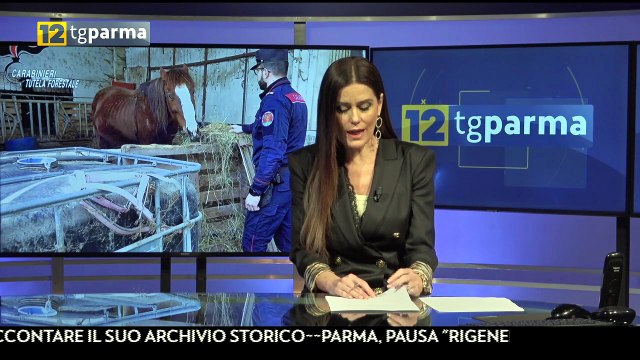TG Parma Edizione del 24-03-2024 ore 12:45 | TG Parma Edizione del 24-03-2024 ore 12:45