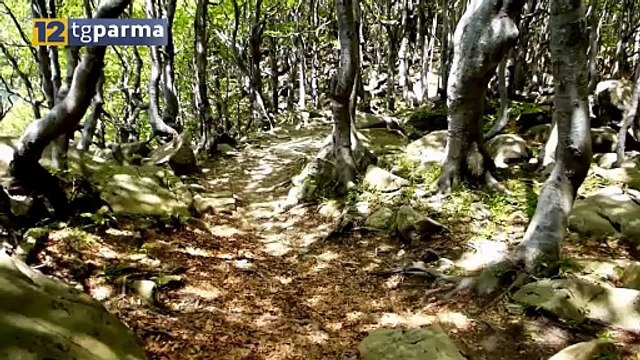 QUALITÀ DELL'ARIA, I BENEFICI DEI SERVIZI ECOSISTEMICI, CONVEGNO IN PROVINCIA | QUALITÀ DELL'ARIA, I BENEFICI DEI SERVIZI ECOSISTEMICI, CONVEGNO IN PROVINCIA