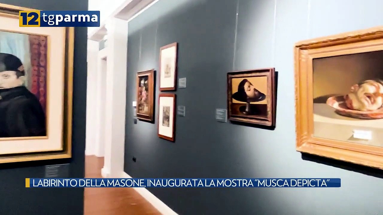 LABIRINTO DELLA MASONE, INAUGURATA LA MOSTRA "MUSCA DEPICTA" | LABIRINTO DELLA MASONE, INAUGURATA LA MOSTRA "MUSCA DEPICTA"