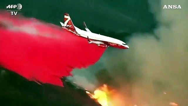Usa, incendio avanza verso Los Angeles: bruciati 10 mila ettari