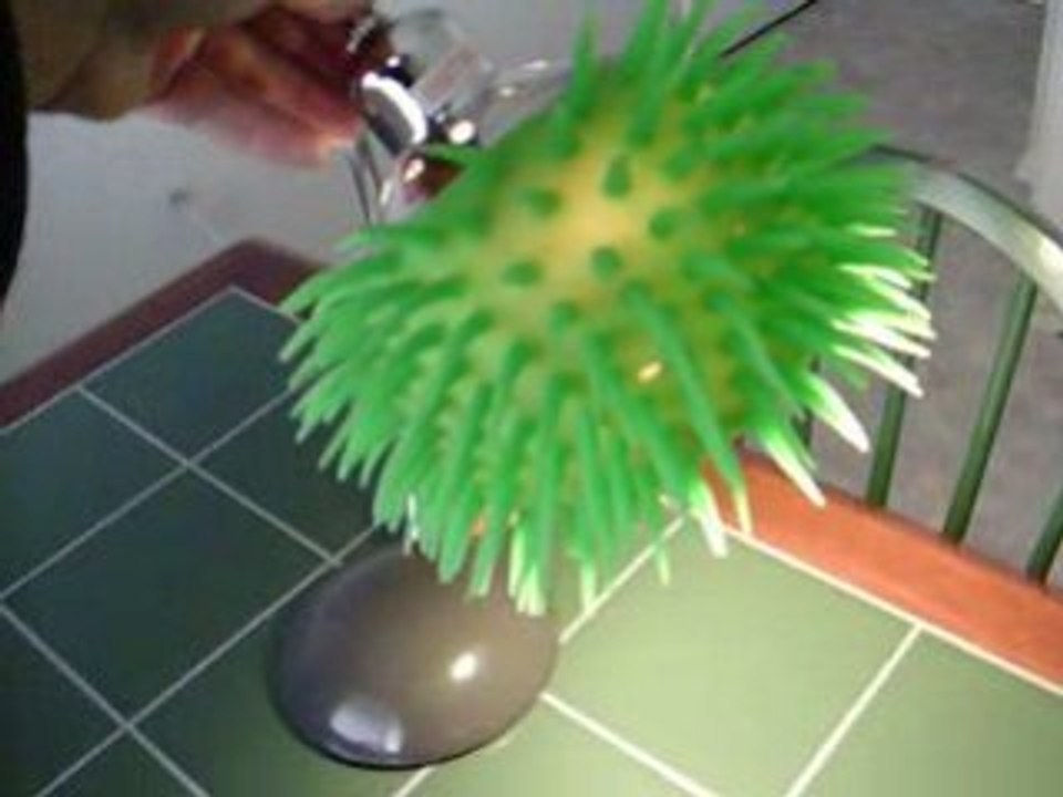 Green Stuff on Lamp-ForRent.com