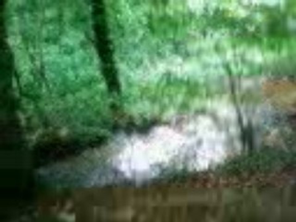 Water jump by dylan