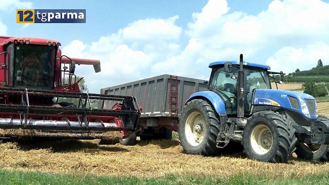 NASCE IL DISTRETTO PARMA BIO VALLEY PER VALORIZZARE L'AGRICOLTURA BIOLOGICA | NASCE IL DISTRETTO PARMA BIO VALLEY PER VALORIZZARE L'AGRICOLTURA BIOLOGICA