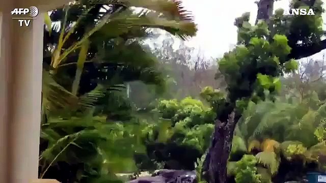 Isaias, da tempesta tropicale a ciclone si dirige in Florida