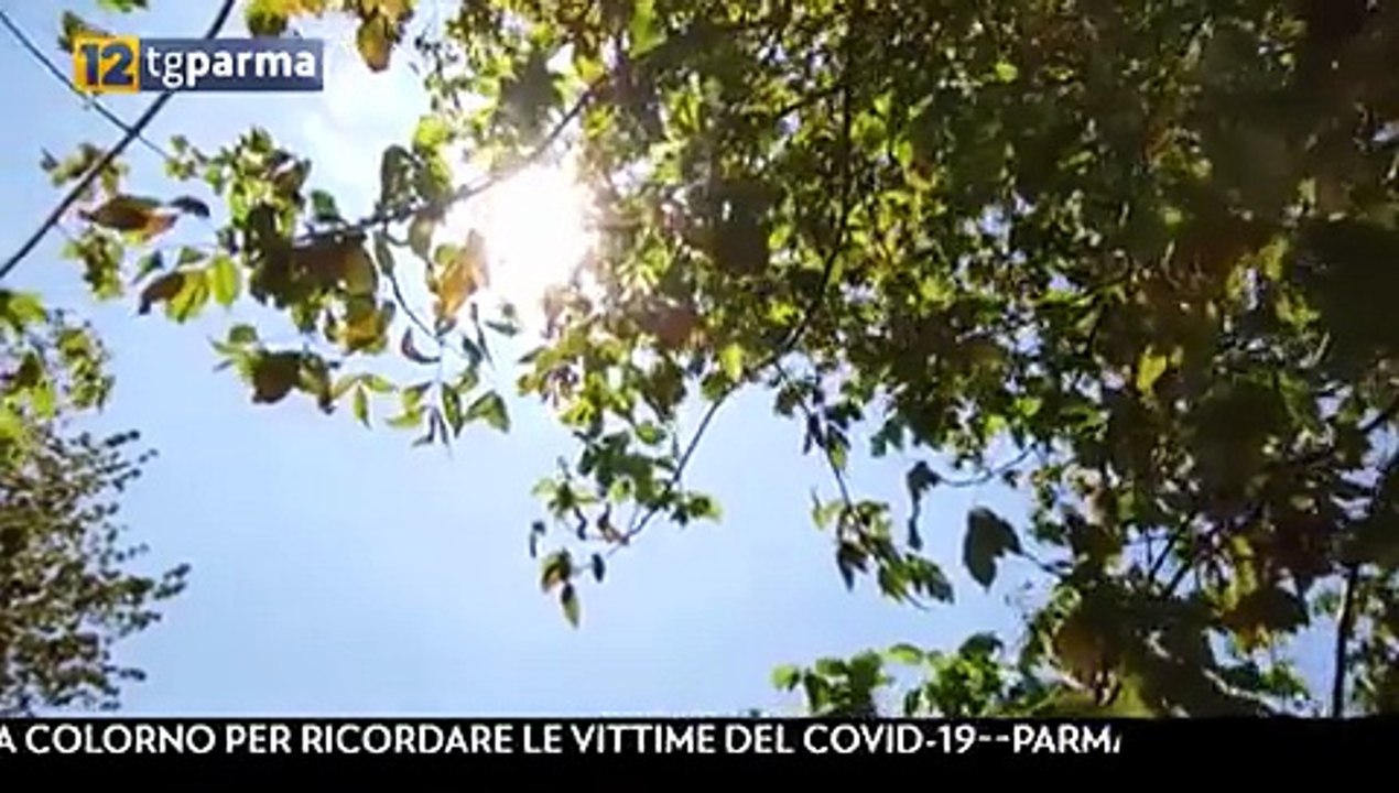 estate tropicale