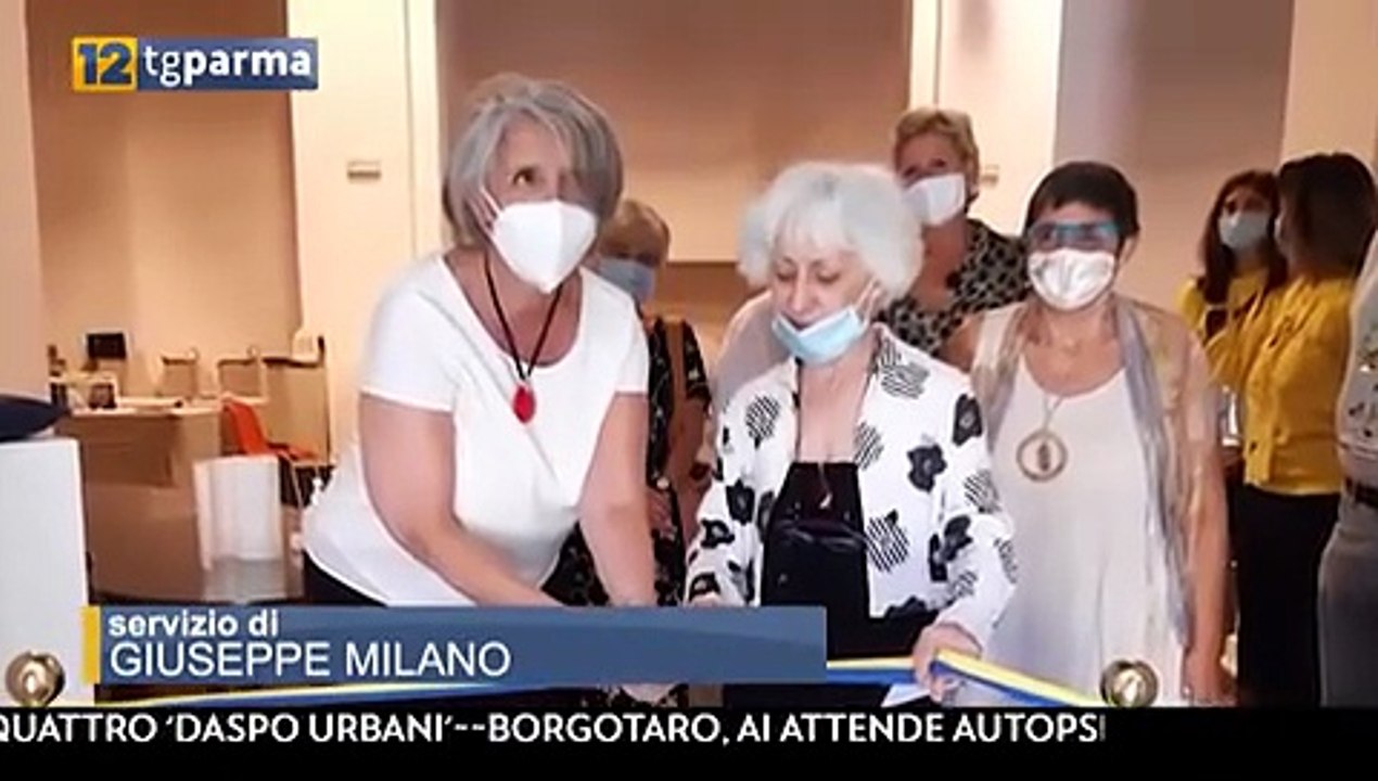 libro artista