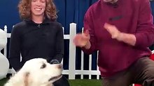Would Your Dog Pick $10,000 or Steak？