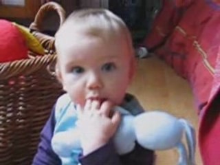 03 11 explorons le panier a nounours