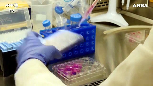 Vaccini contro altre malattie sono possibile scudo contro Covid