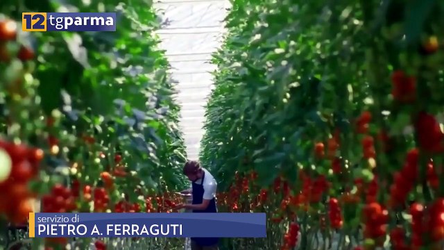 REGIONE, BANDI PER 9 MILIONI DI EURO A SOSTEGNO DELLO SVILUPPO RURALE | REGIONE, BANDI PER 9 MILIONI DI EURO A SOSTEGNO DELLO SVILUPPO RURALE