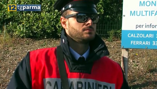 LADRO SERIALE ARRESTATO: 15 COLPI TRA PARMA E PROVINCIA | LADRO SERIALE ARRESTATO: 15 COLPI TRA PARMA E PROVINCIA
