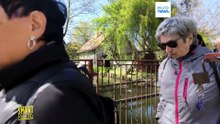 Промышленный туризм: новый формат путешествий