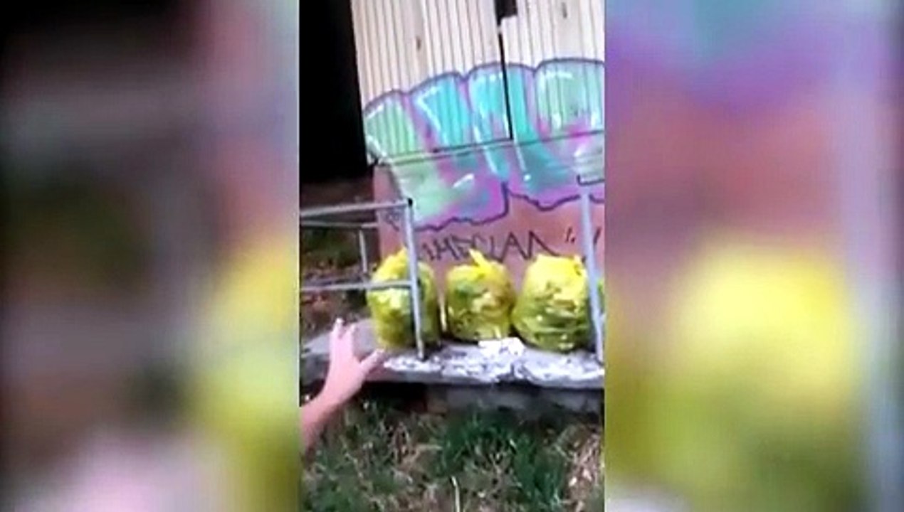 raccolta rifiuti