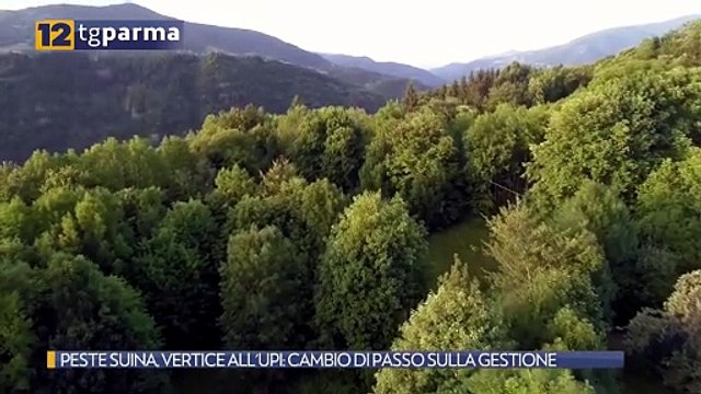 PESTE SUINA, VERTICE ALL'UPI: CAMBIO DI PASSO SULLA GESTIONE | PESTE SUINA, VERTICE ALL'UPI: CAMBIO DI PASSO SULLA GESTIONE