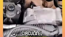 Encuentran dos perritos dentro del cofre de un auto