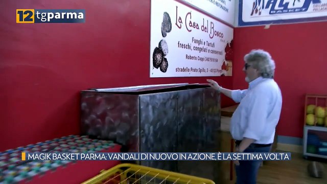 MAGIK BASKET PARMA: VANDALI DI NUOVO IN AZIONE, È LA SETTIMA VOLTA | MAGIK BASKET PARMA: VANDALI DI NUOVO IN AZIONE, È LA SETTIMA VOLTA