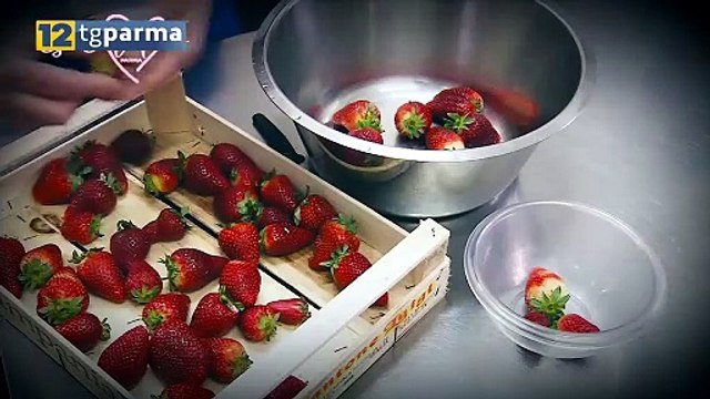 12 TV PARMA, ALLE 21 LA PRIMA PUNTATA DI GELATIAMO | 12 TV PARMA, ALLE 21 LA PRIMA PUNTATA DI GELATIAMO