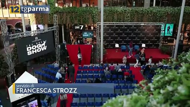 RISATE E DIVERTIMENTO ALLA GALLERIA PER LA PRIMA SERATA DEL THE GREAT DOG SHOW | RISATE E DIVERTIMENTO ALLA GALLERIA PER LA PRIMA SERATA DEL THE GREAT DOG SHOW