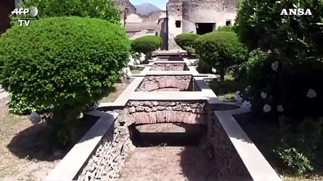 Pompei-Ercolano, neuroni integri in una vittima dell'eruzione