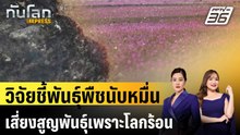 วิจัยชี้พันธุ์พืชนับหมื่นเสี่ยงสูญพันธุ์เพราะโลกร้อน|ทันโลก EXPRESS | 29 พ.ค. 69