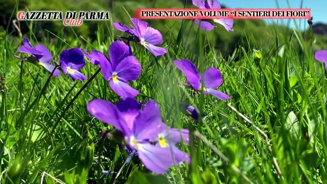 Presentazione del volume I sentieri dei fiori del 20-6-24 | Presentazione del volume I sentieri dei fiori del 20-6-24