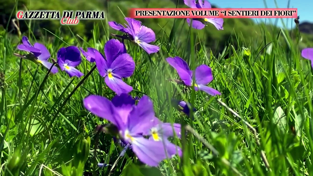 Presentazione del volume "I sentieri dei fiori" del 20-6-24 | Presentazione del volume "I sentieri dei fiori" del 20-6-24