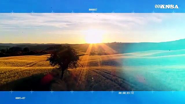 Alpenite, boom digitale spinge crescita