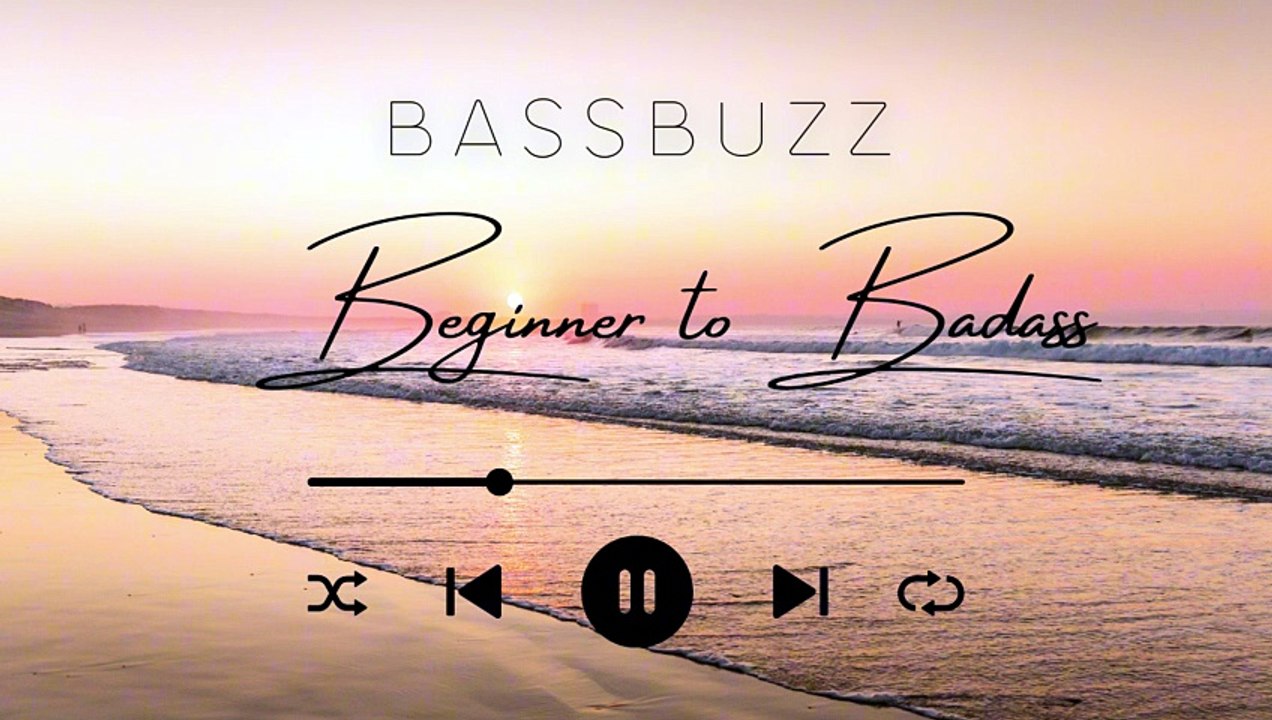 Introdution to Beginner to Badass By Bassbuzz | 39