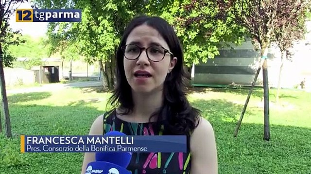 DISSESTO ULTIMI 9 MESI: INTERVENTI PER 500MILA EURO DELLA BONIFICA PARMENSE | DISSESTO ULTIMI 9 MESI: INTERVENTI PER 500MILA EURO DELLA BONIFICA PARMENSE