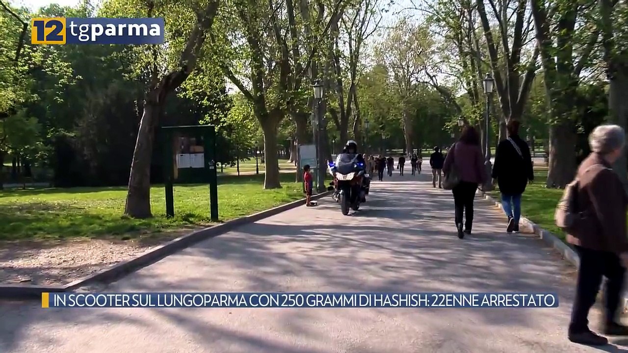 IN SCOOTER SUL LUNGOPARMA CON 250 GRAMMI DI HASHISH: 22ENNE ARRESTATO | IN SCOOTER SUL LUNGOPARMA CON 250 GRAMMI DI HASHISH: 22ENNE ARRESTATO
