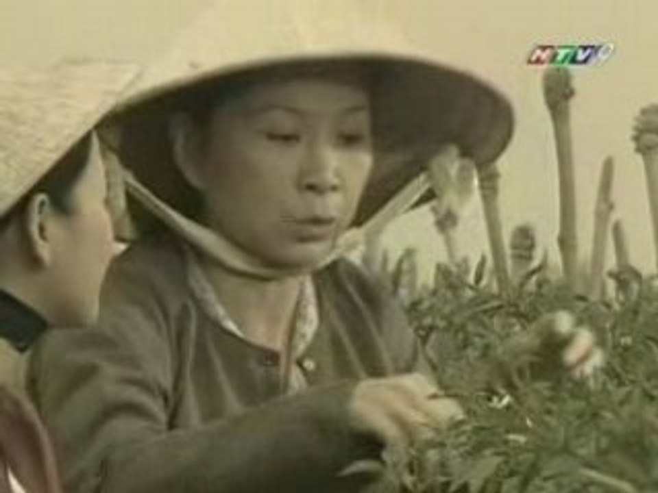 MUI NGO GAI 93_chunk_2