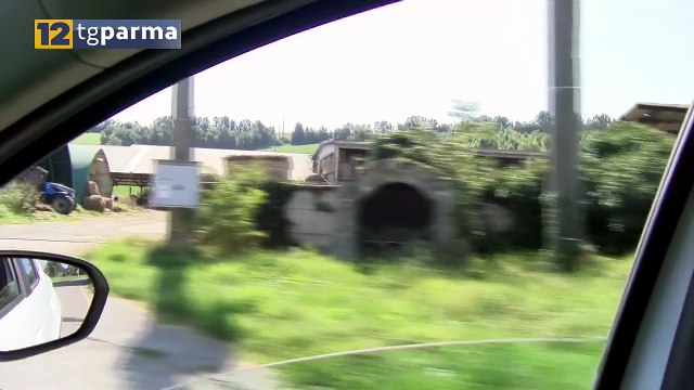GAIANO, GRAVISSIMO ALLEVATORE FERITO DA UN TORO | GAIANO, GRAVISSIMO ALLEVATORE FERITO DA UN TORO