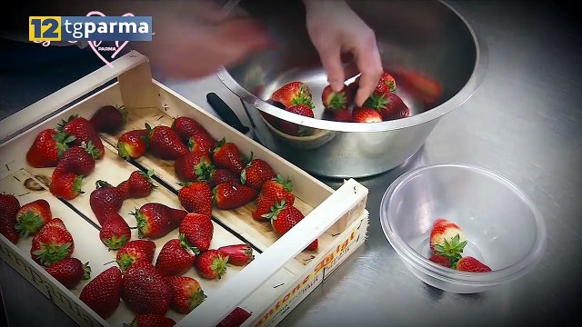 12 TV PARMA, ALLE 21 LA PRIMA PUNTATA DI GELATIAMO | 12 TV PARMA, ALLE 21 LA PRIMA PUNTATA DI GELATIAMO