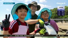 화성 뱃놀이 축제 성료…나흘간 29만 명 방문