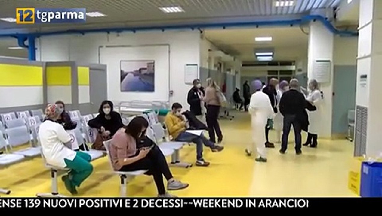 intervista cozzolino