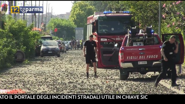 TG Parma Edizione del 26-07-2024 ore 12:45 | TG Parma Edizione del 26-07-2024 ore 12:45