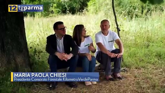 KILOMETROVERDEPARMA, 70 MILA ALBERI MESSI A DIMORA AD OGGI | KILOMETROVERDEPARMA, 70 MILA ALBERI MESSI A DIMORA AD OGGI