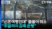 "신혼여행인데" 줄줄이 취소..."주말까지 감축 운행" / YTN