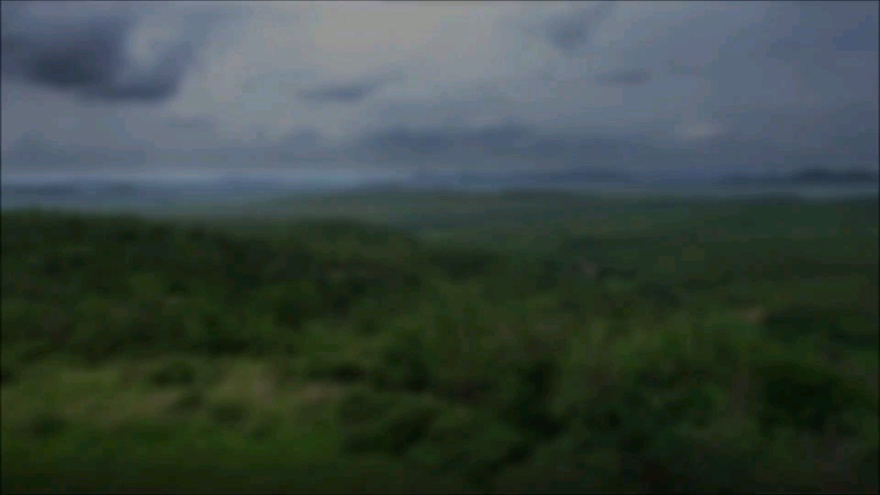 Paleo-discoveries 2000