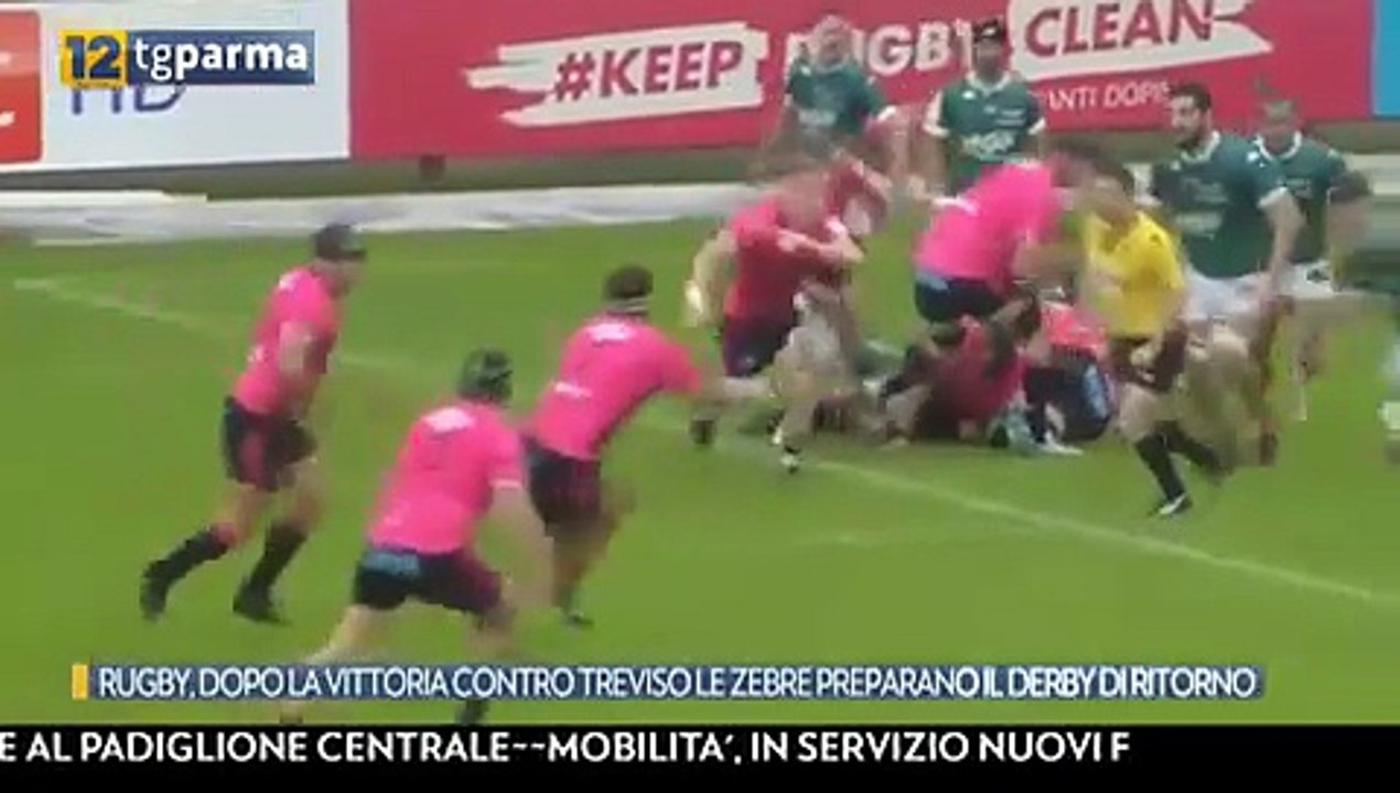 video zebre