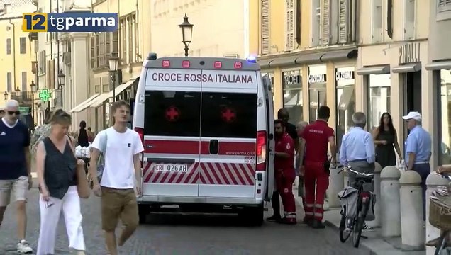 KM VERDE PARMA: AUMENTARE GLI ALBERI PER RIDURRE IL CALORE IN CITTÀ | KM VERDE PARMA: AUMENTARE GLI ALBERI PER RIDURRE IL CALORE IN CITTÀ