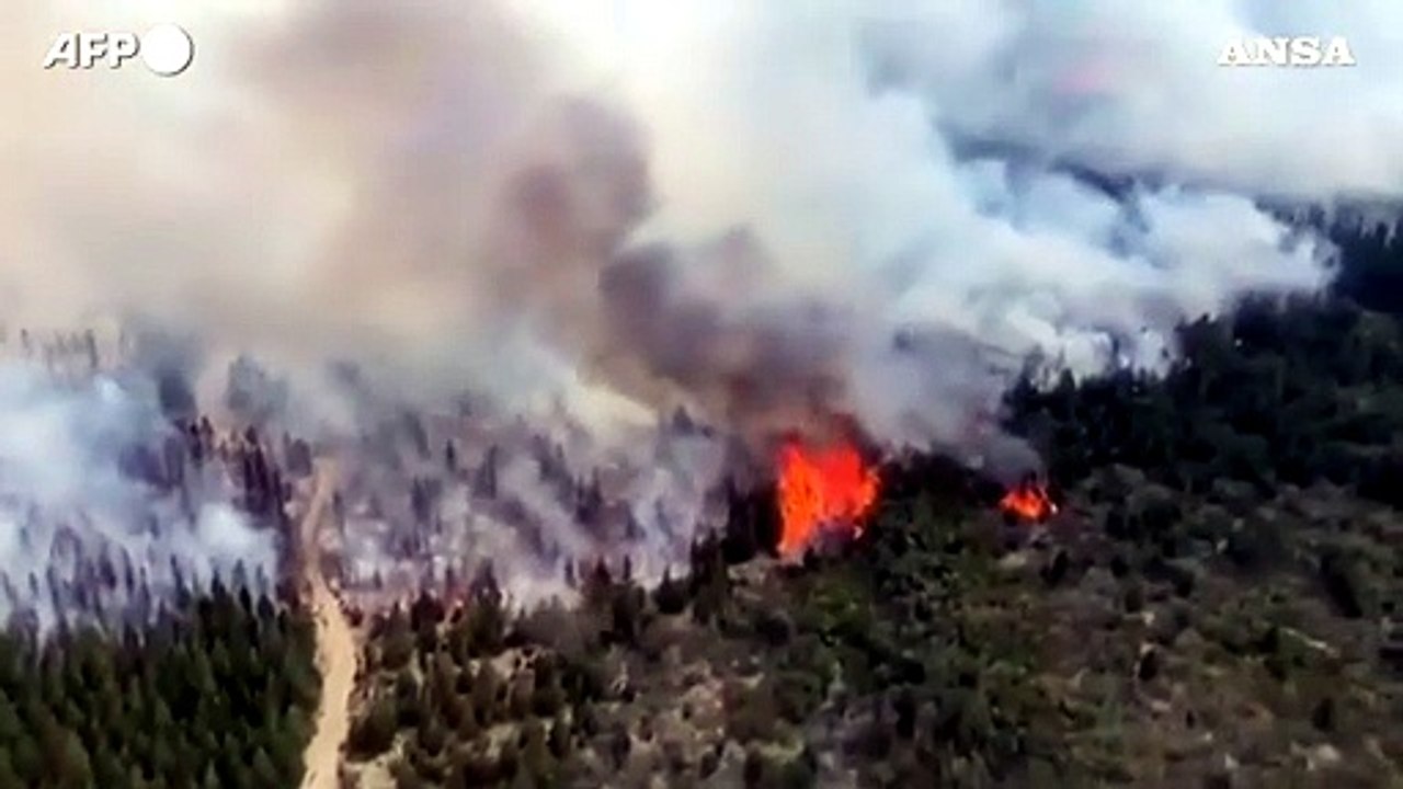 Argentina, violento incendio devasta foresta