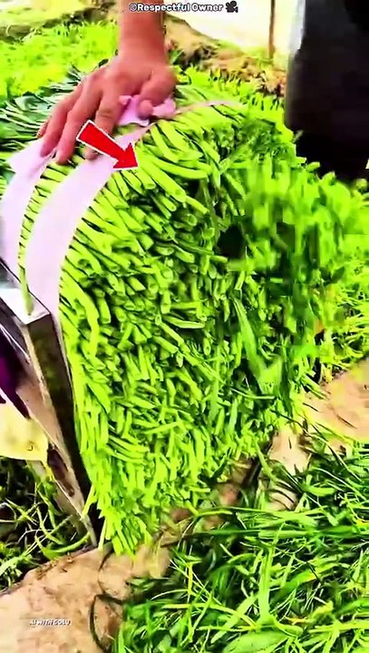 “😨 Last Fact Sunke Mere Hosh Ud Gaye!” #mindblowingfacts #viralvideo #shortsfeed #reels