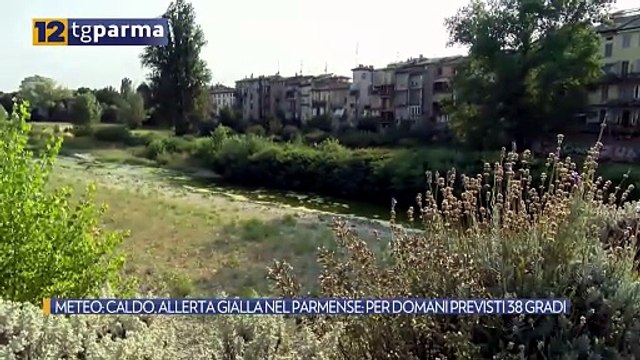 METEO: CALDO, ALLERTA GIALLA NEL PARMENSE: PER DOMANI PREVISTI 38 GRADI | METEO: CALDO, ALLERTA GIALLA NEL PARMENSE: PER DOMANI PREVISTI 38 GRADI