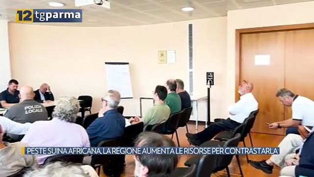 PESTE SUINA AFRICANA, LA REGIONE AUMENTA LE RISORSE PER CONTRASTARLA | PESTE SUINA AFRICANA, LA REGIONE AUMENTA LE RISORSE PER CONTRASTARLA